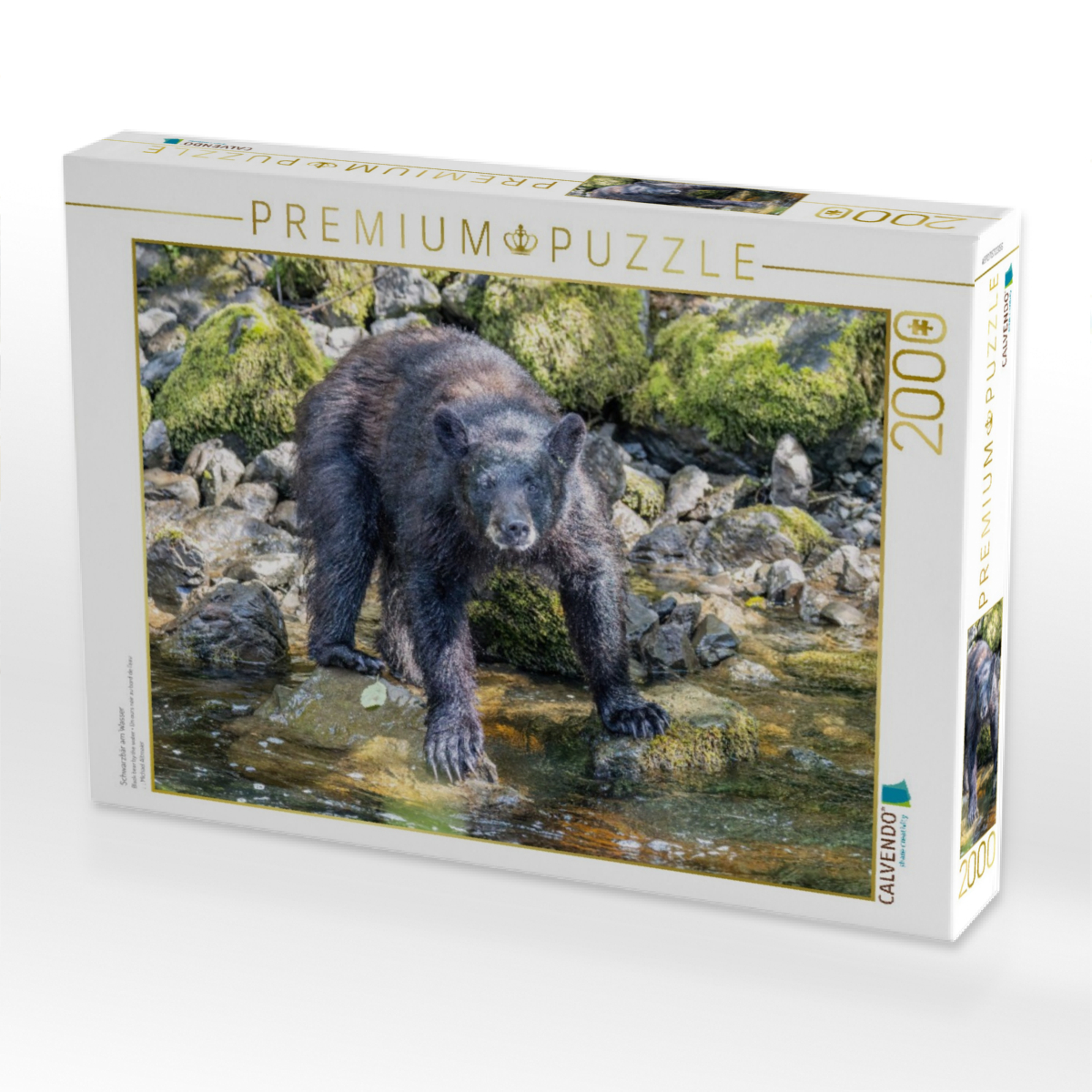 Schwarzbär am Wasser