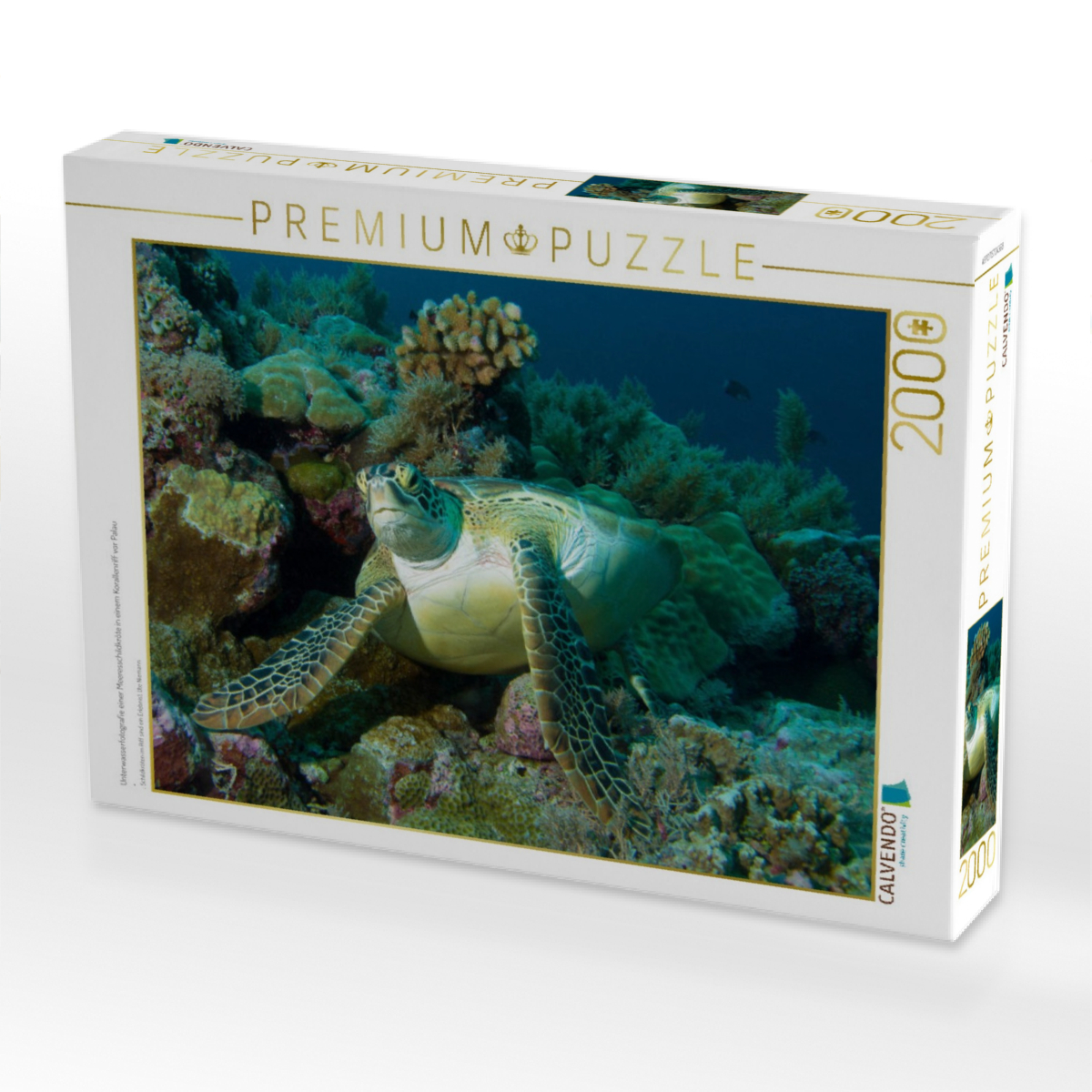 Unterwasserfotografie einer Meeresschildkröte in einem Korallenriff vor Palau