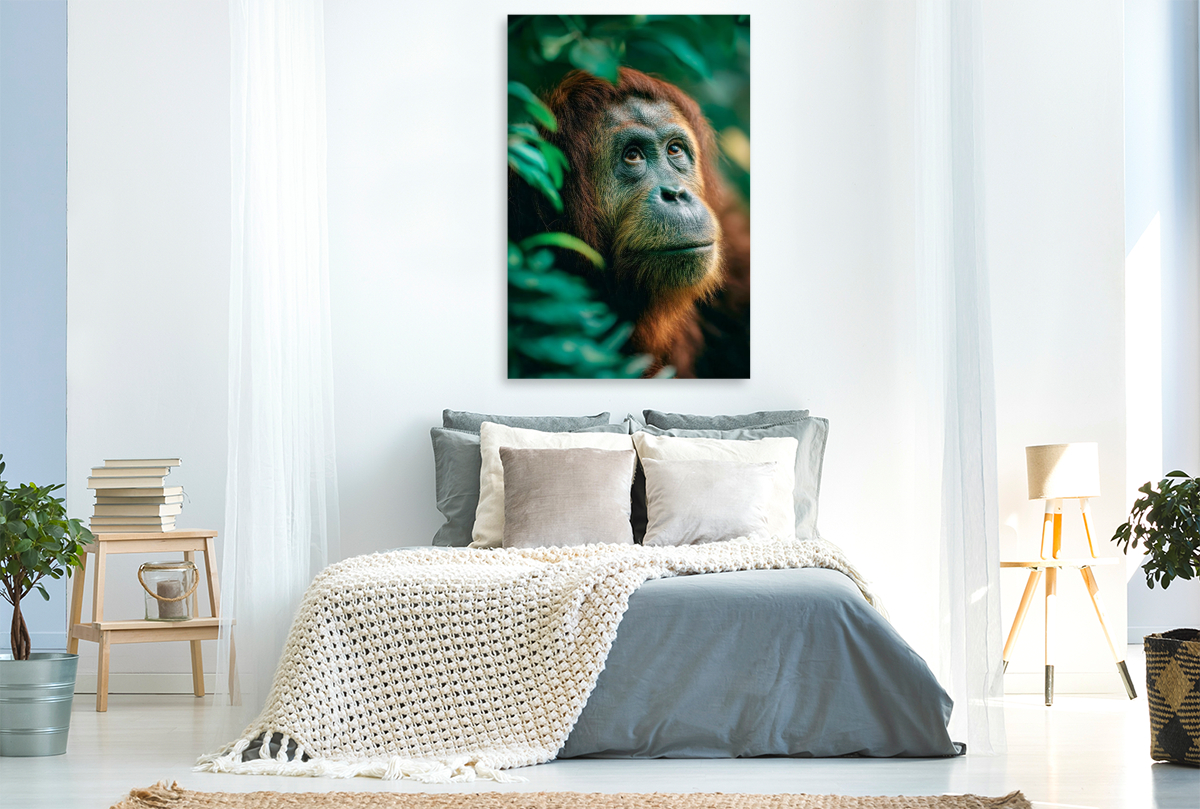 Orang Utan - Seele des Dschungels