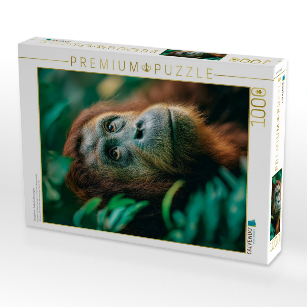 Orang Utan - Seele des Dschungels