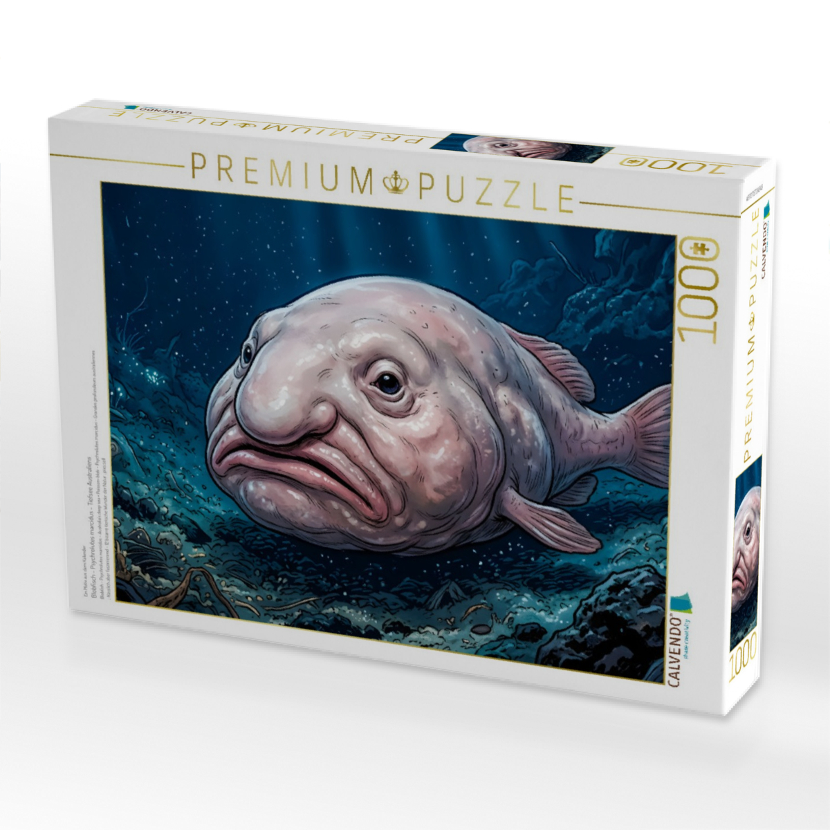 Blobfisch - Psychrolutes marcidus - Tiefsee Australiens