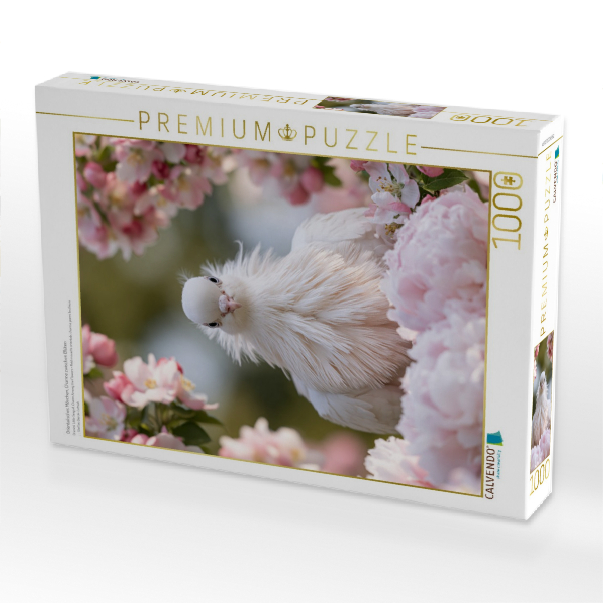 Orientalisches Mövchen, Charme zwischen Blüten