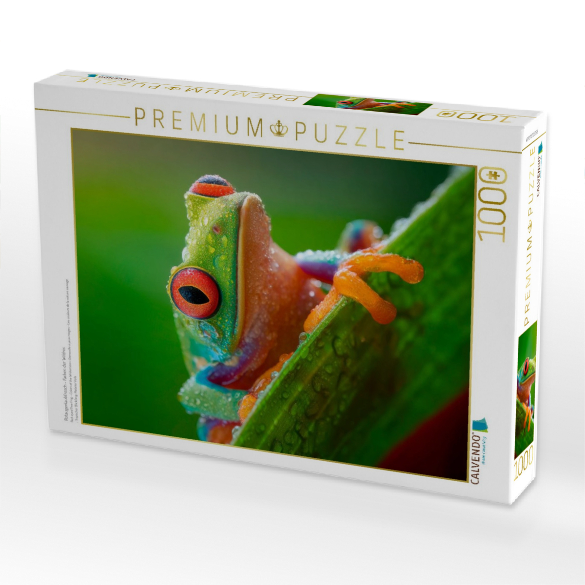 Rotaugenlaubfrosch - Farben der Wildnis