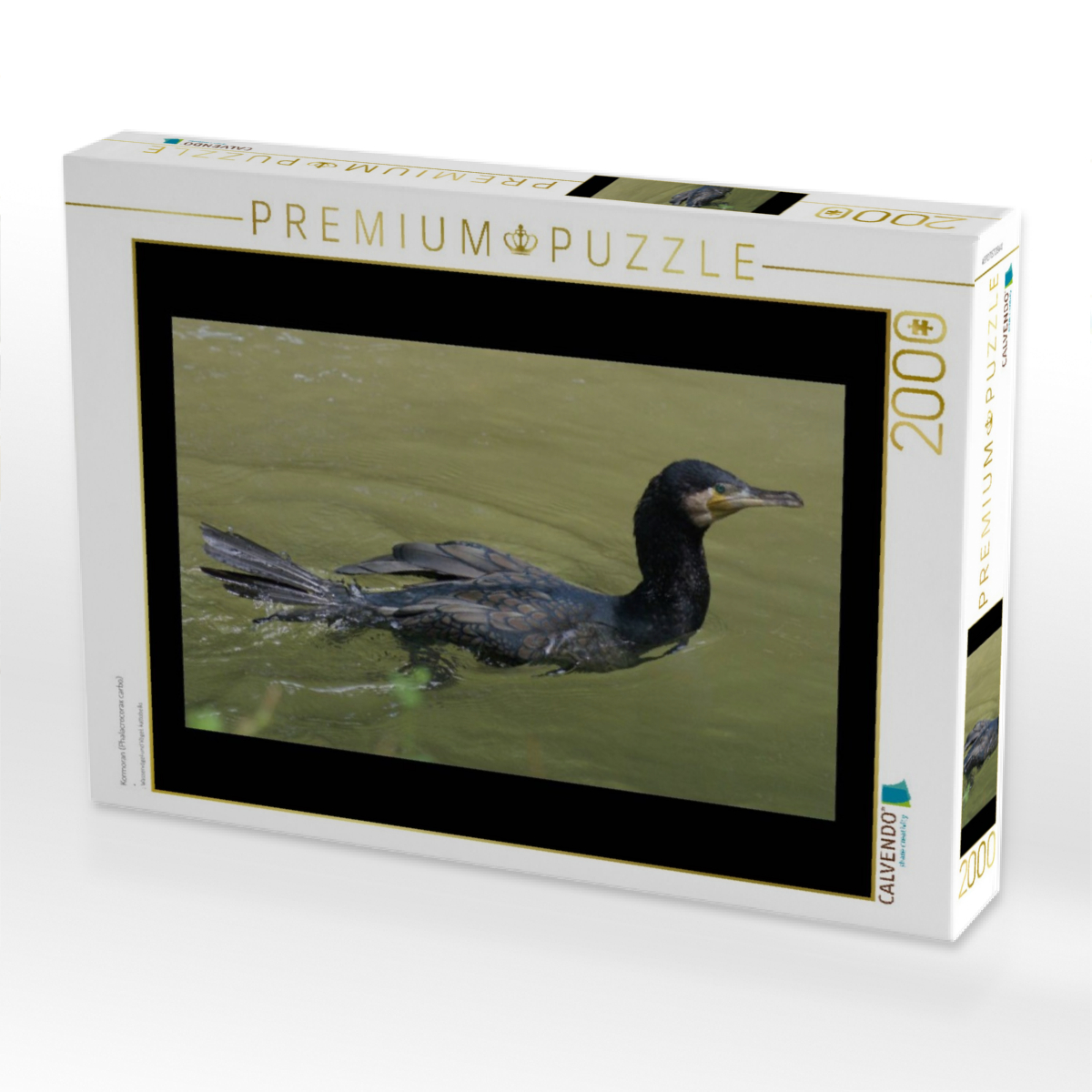 Kormoran (Phalacrocorax carbo)