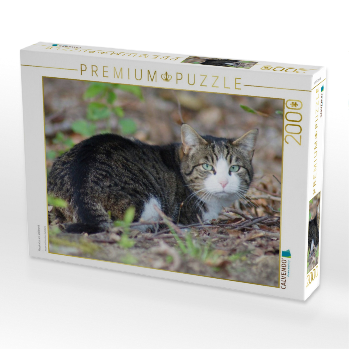 Hauskatze am Waldrand