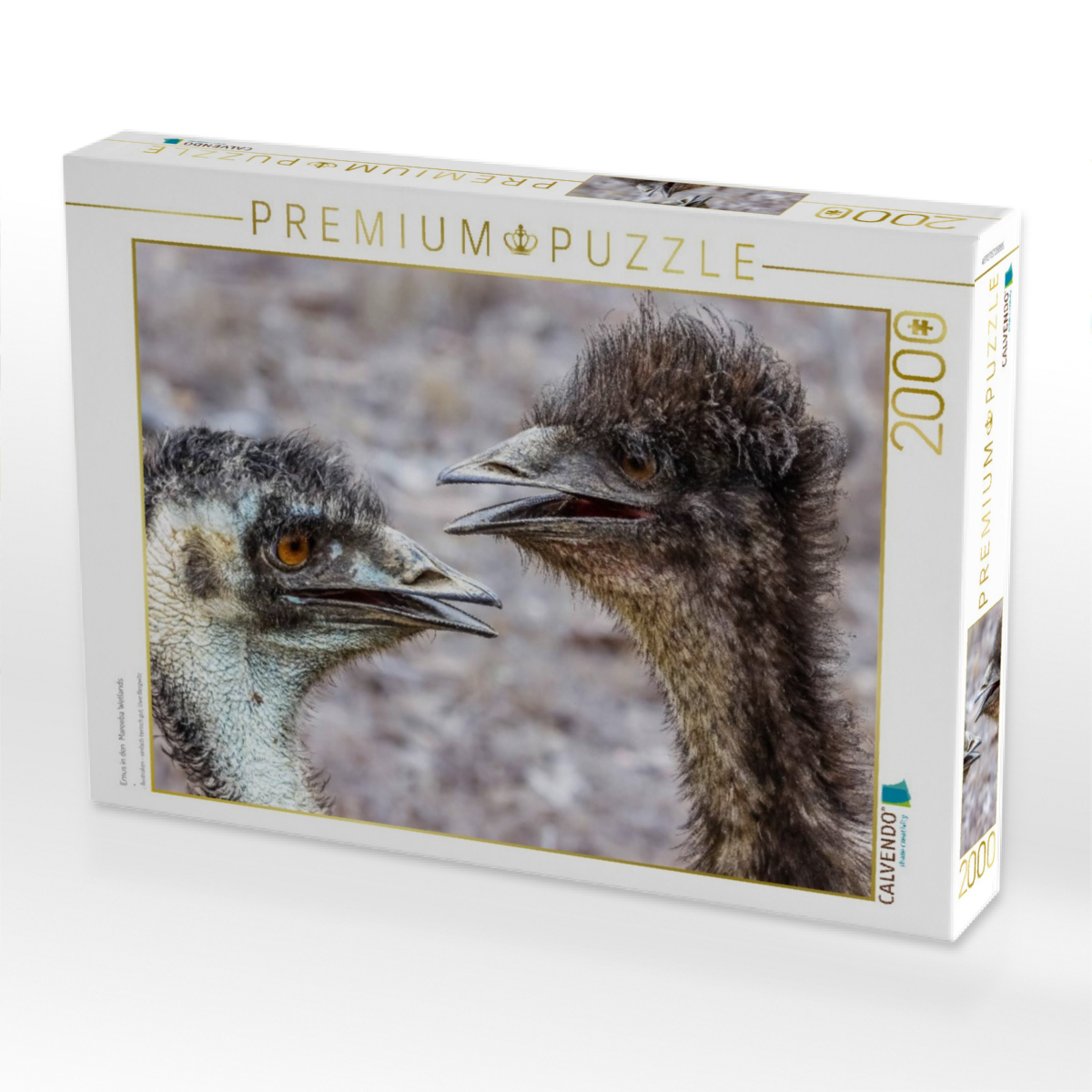 Emus in den  Mareeba Wetlands