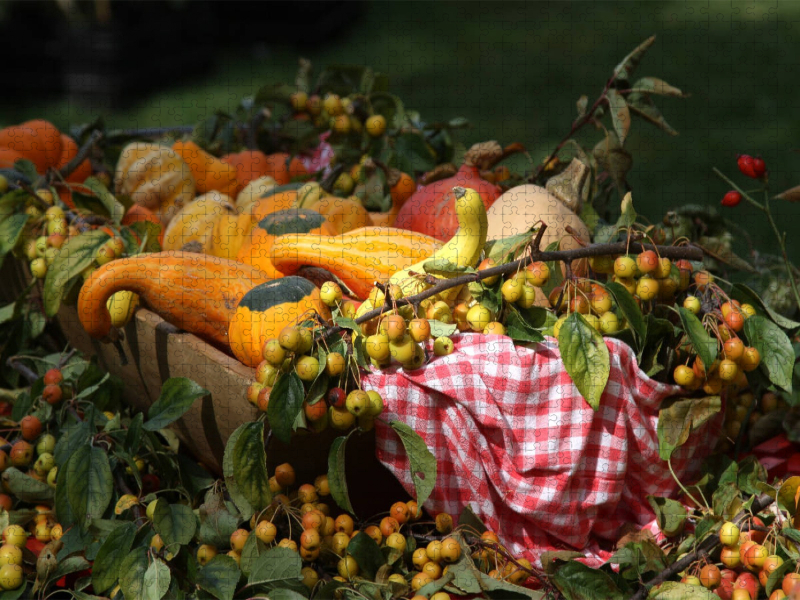 Herbstliches Stillleben