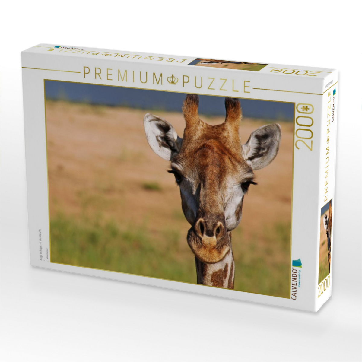 Auge in Auge mit der Giraffe