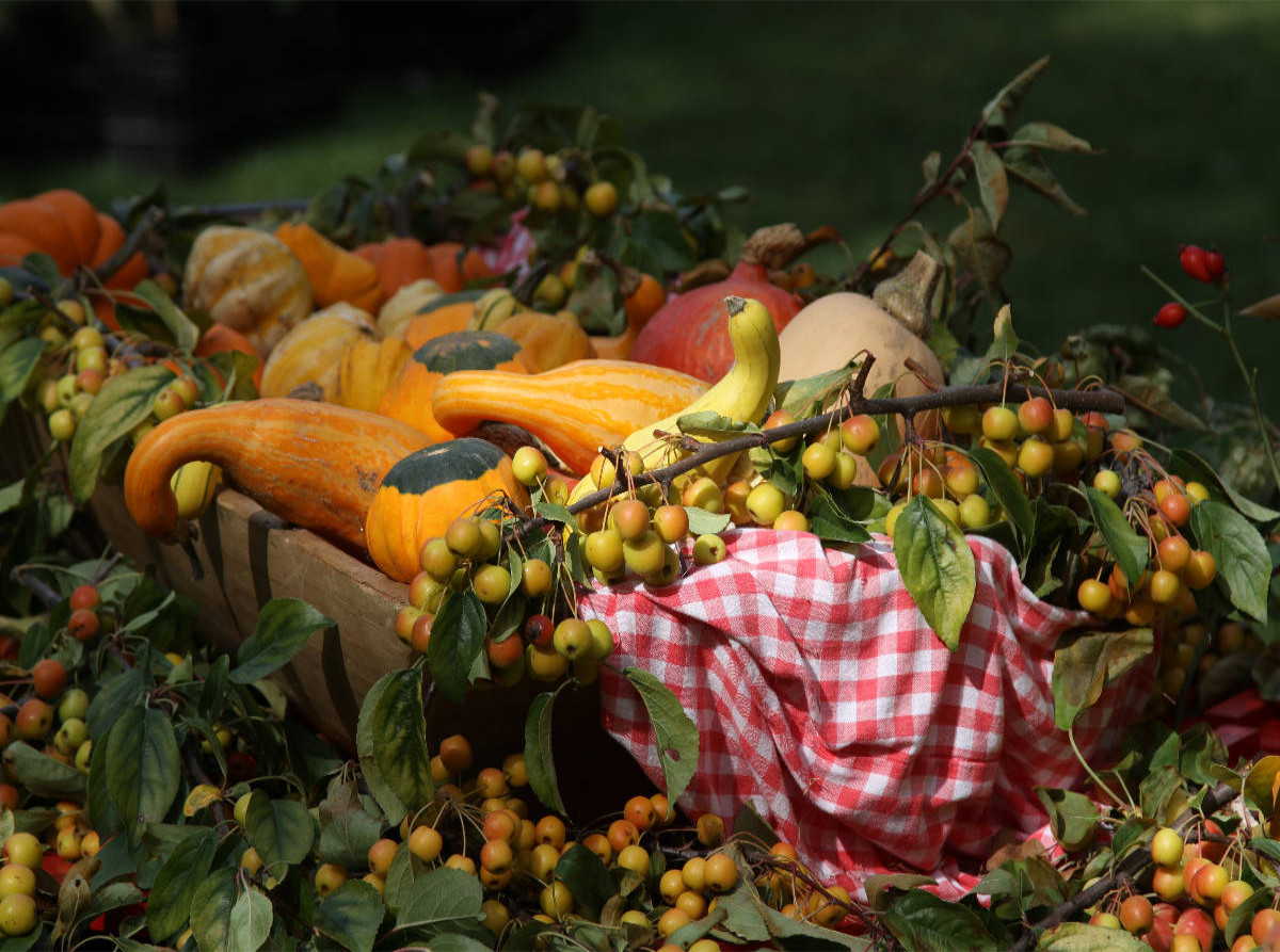 Frisches Obst und Gemüse