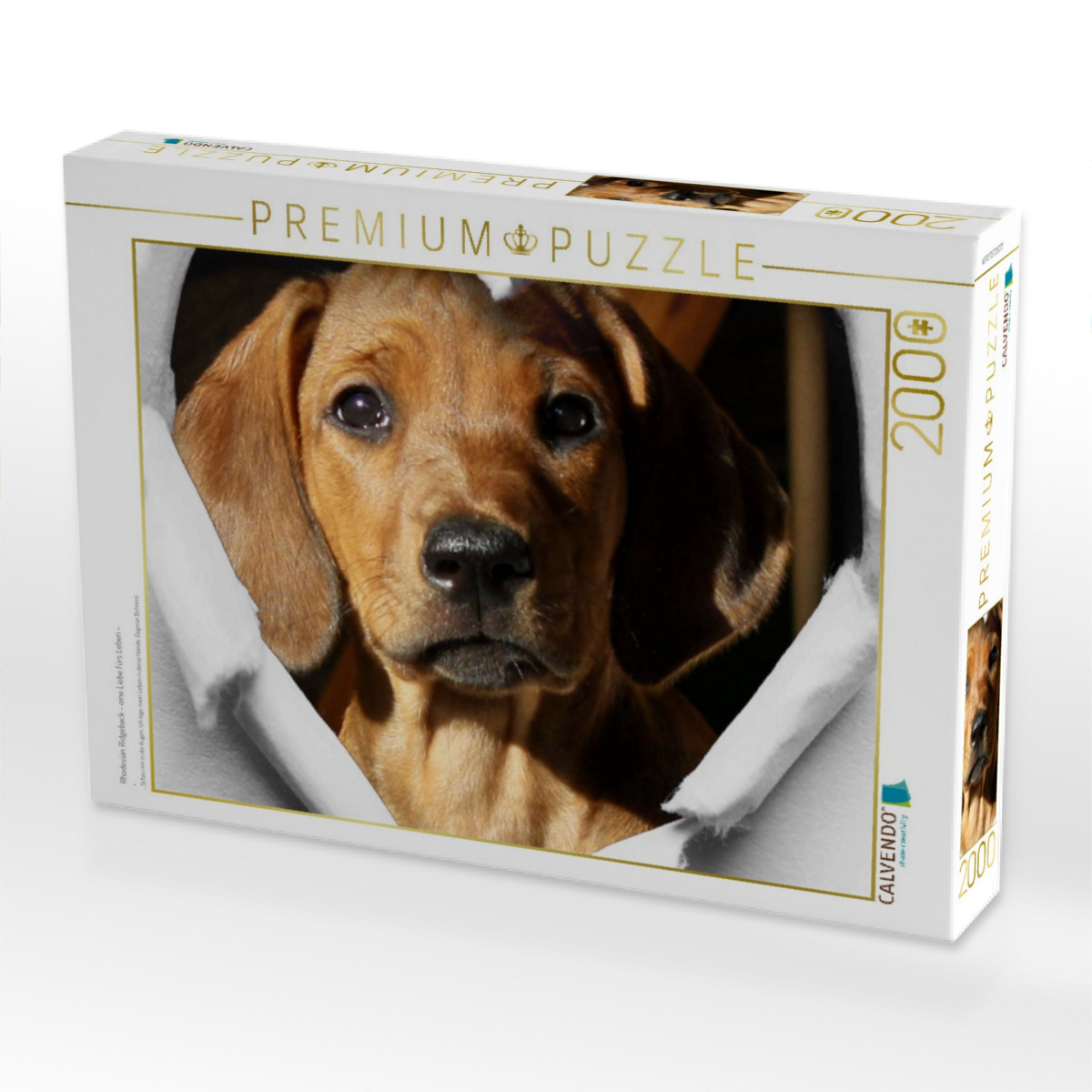 Rhodesian Ridgeback - eine Liebe fürs Leben -