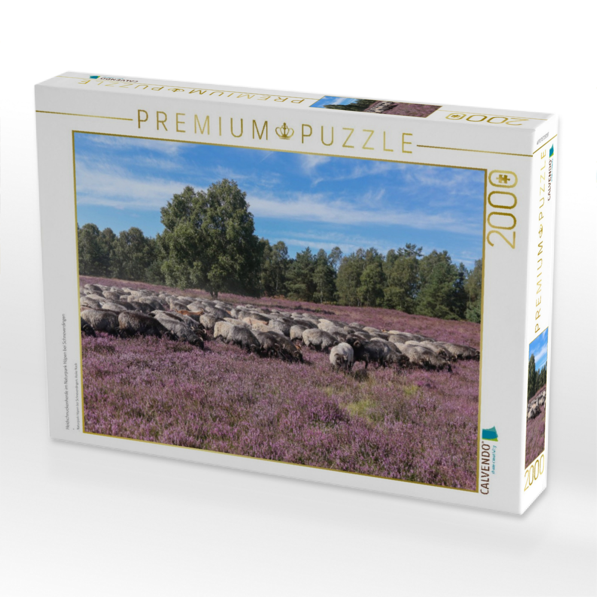 Heidschnuckenherde im Naturpark Höpen bei Schneverdingen