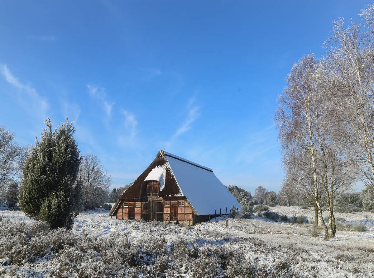 Winterlandschaft in der Timmerloher Heide