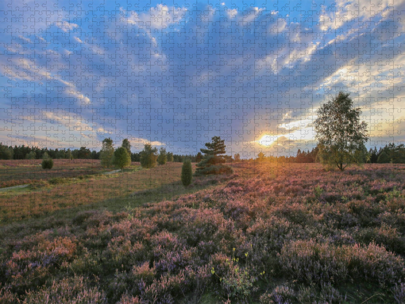 Sonnenuntergang im Büsenbachtal bei Handeloh