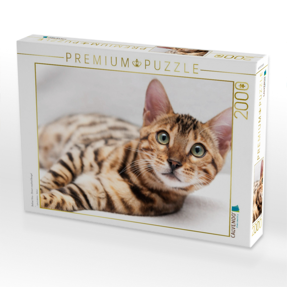 Bethari Vinu - Brown rosetted Bengal