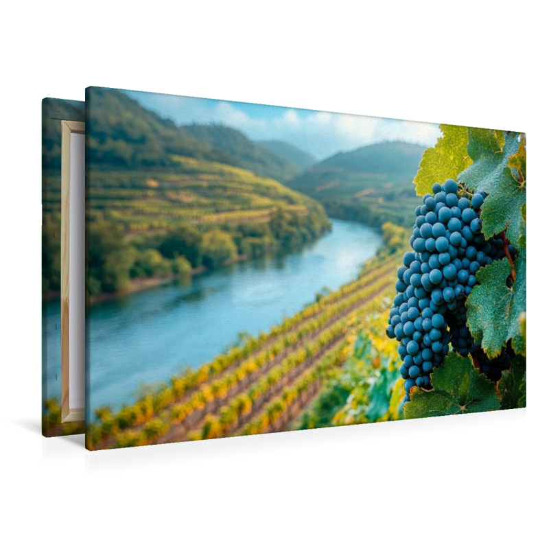 Spätsommer im Weinberg