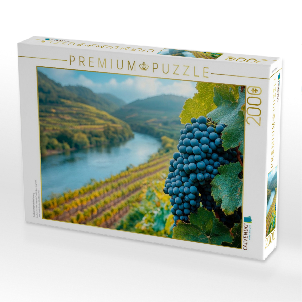 Spätsommer im Weinberg