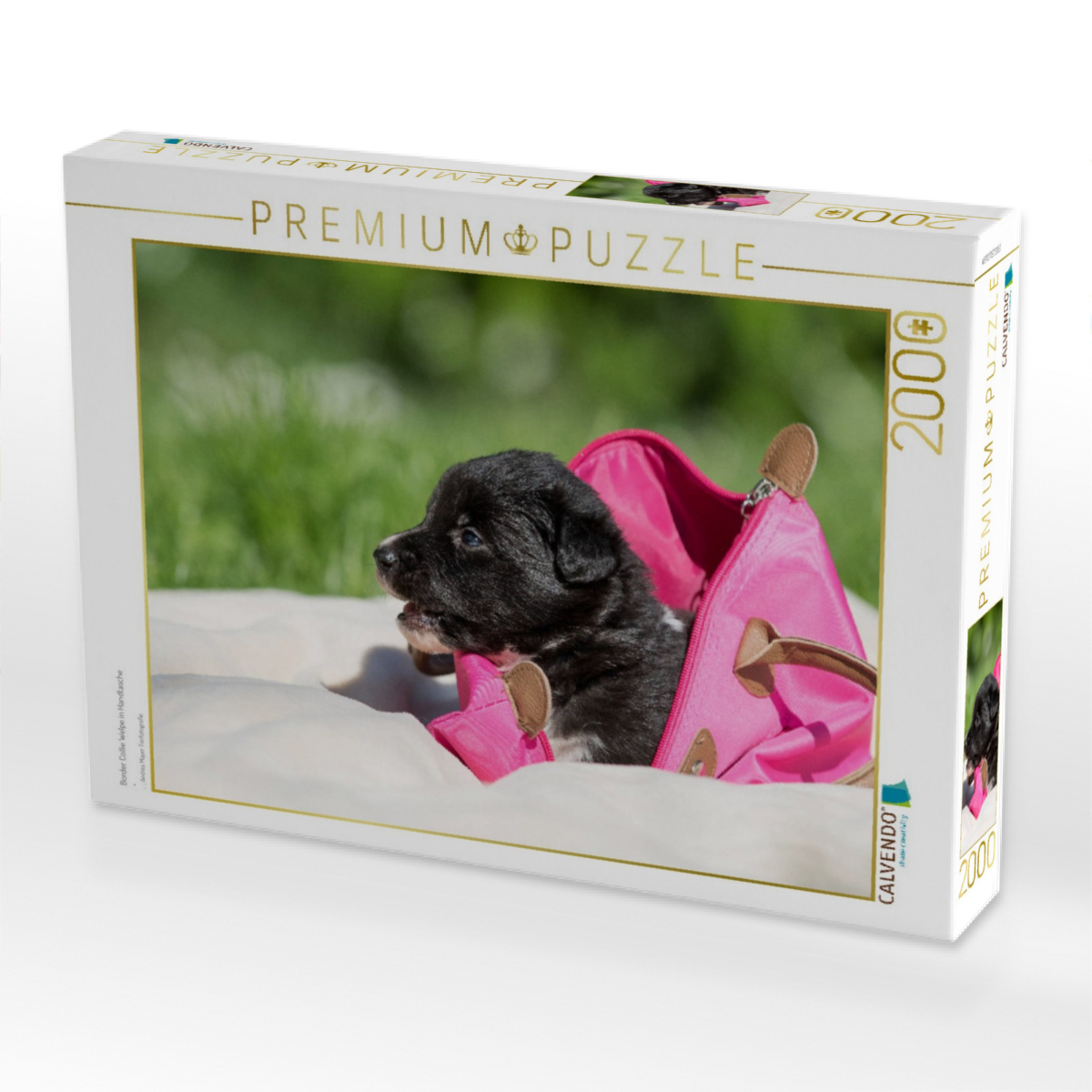 Border Collie Welpe in Handtasche