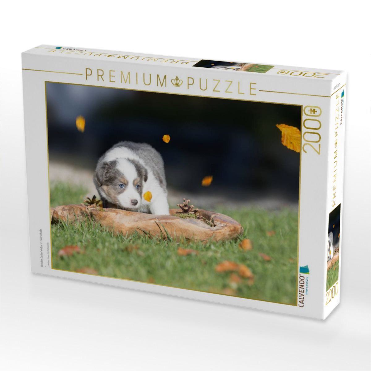 Border Collie Welpe in Holzschale