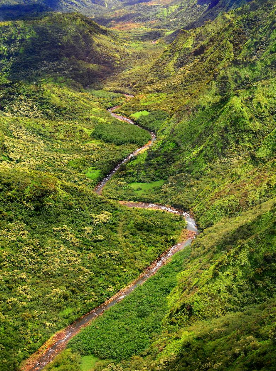 Waimea River