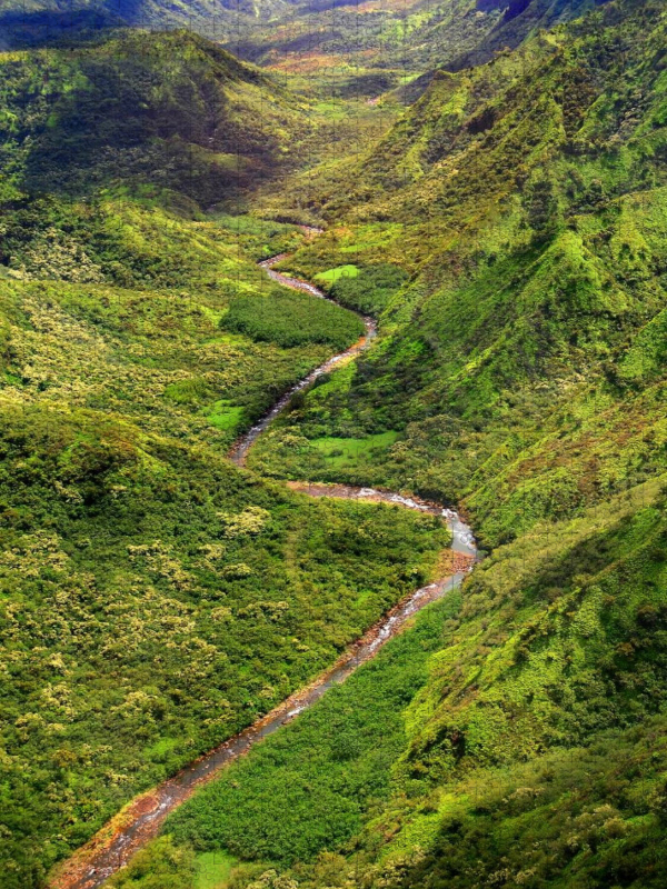 Waimea River