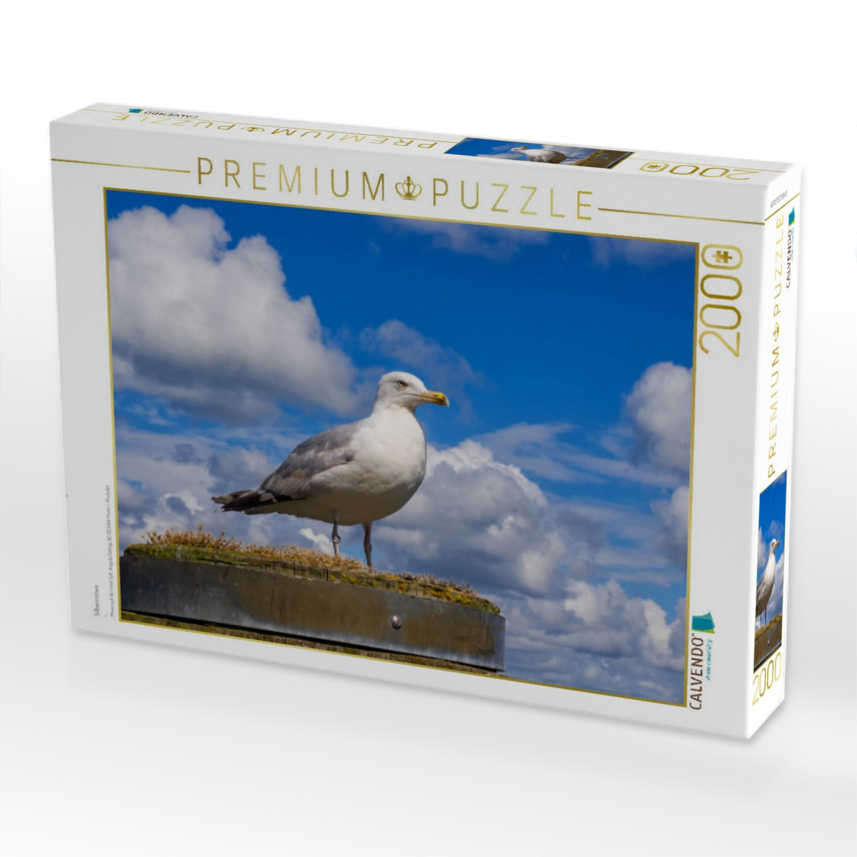 Silbermöwe