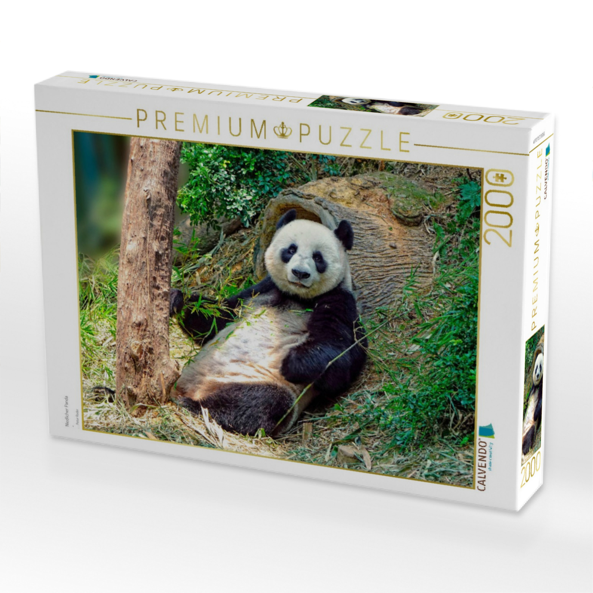 Niedlicher Panda