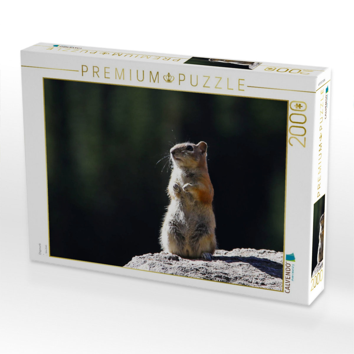 Chipmunk