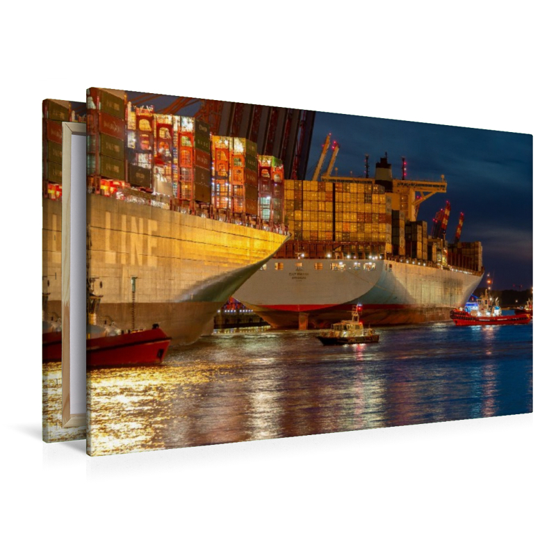 Containerschiffe beim Eindocken