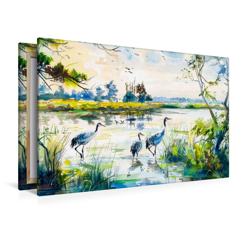 Kraniche im Havelland stehen im Flachwasser eines stillen Sees