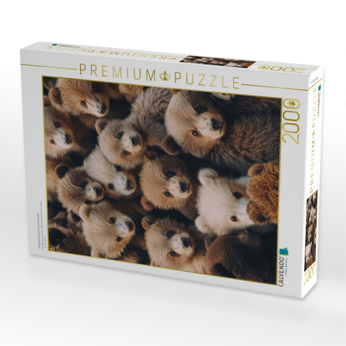 Junge Braunbären zum kuscheln