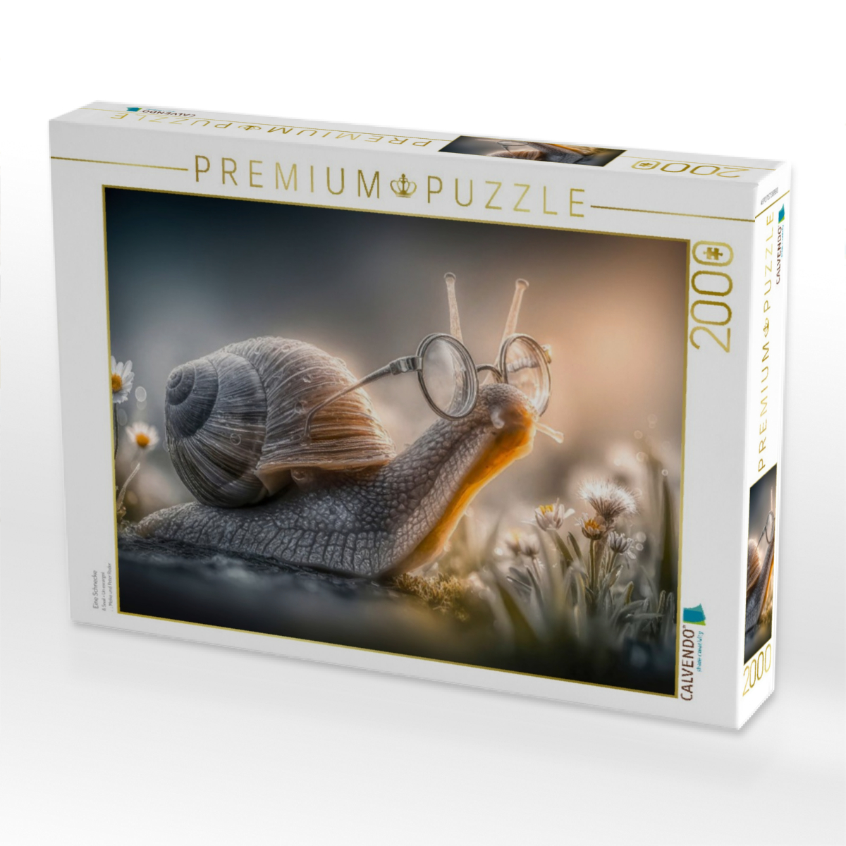 Eine Schnecke
