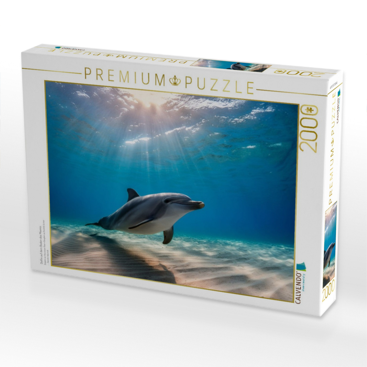 Delfin auf dem Boden des Meeres