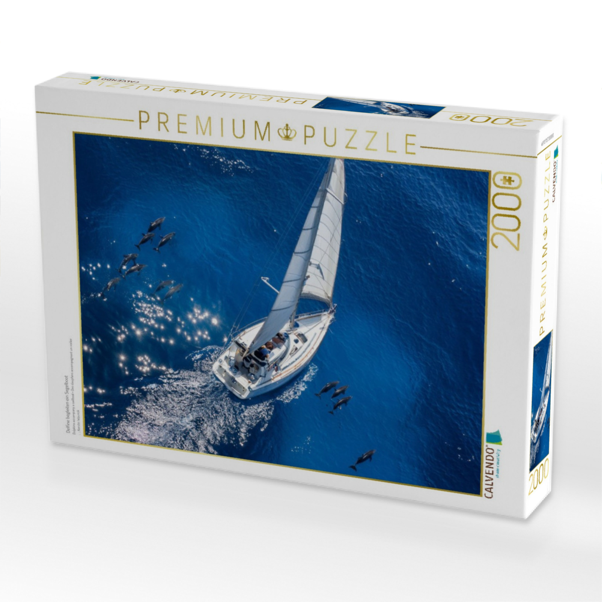 Delfine begleiten ein Segelboot