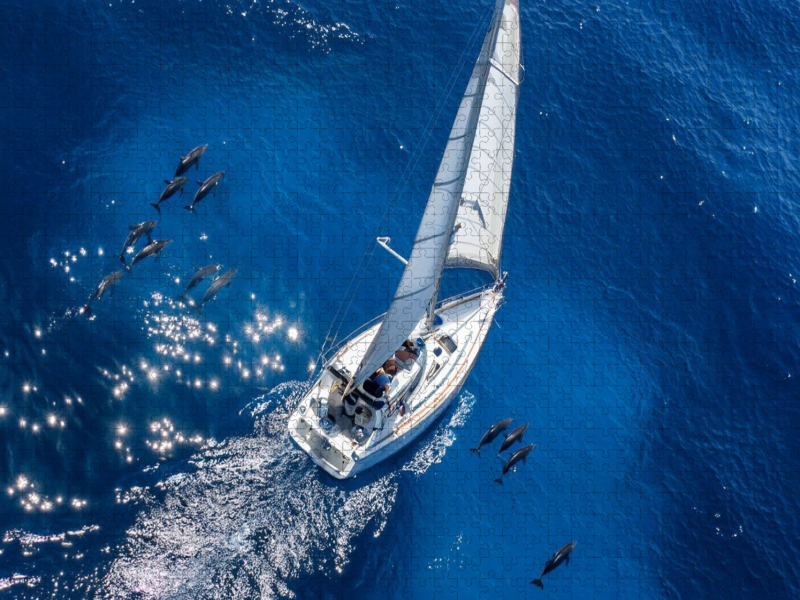 Delfine begleiten ein Segelboot