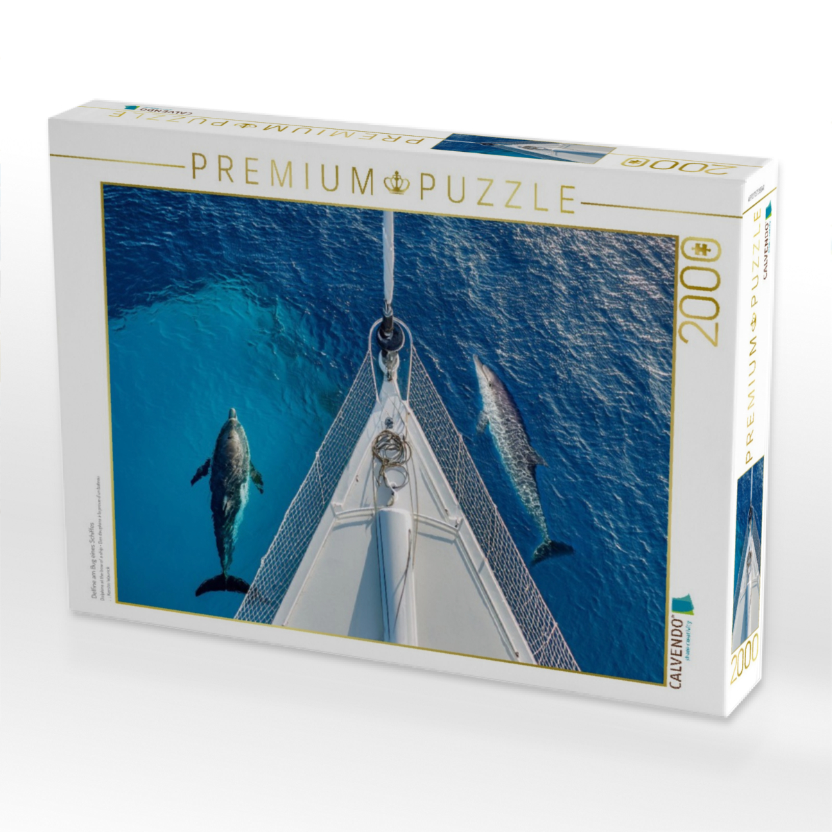 Delfine am Bug eines Schiffes
