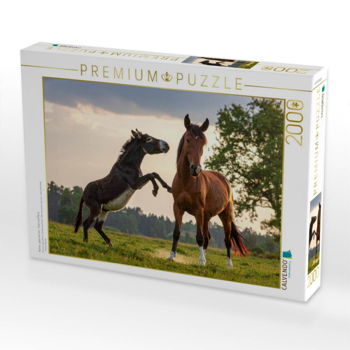 Komm, spiel mit mir - Esel und Pferd