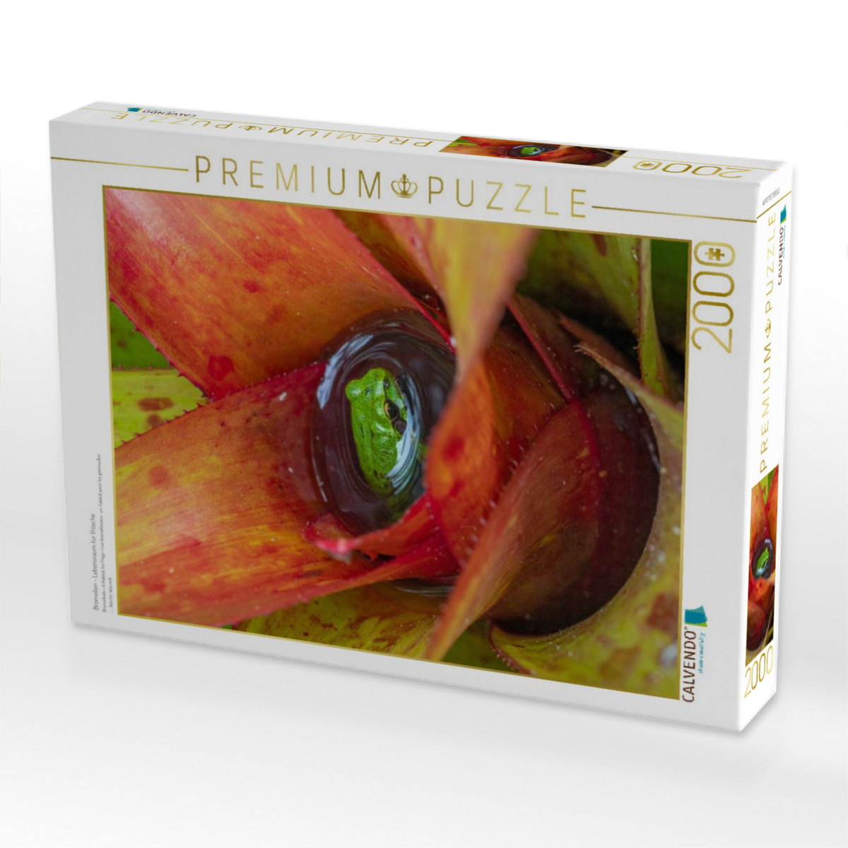 Bromelien - Lebensraum für Frösche