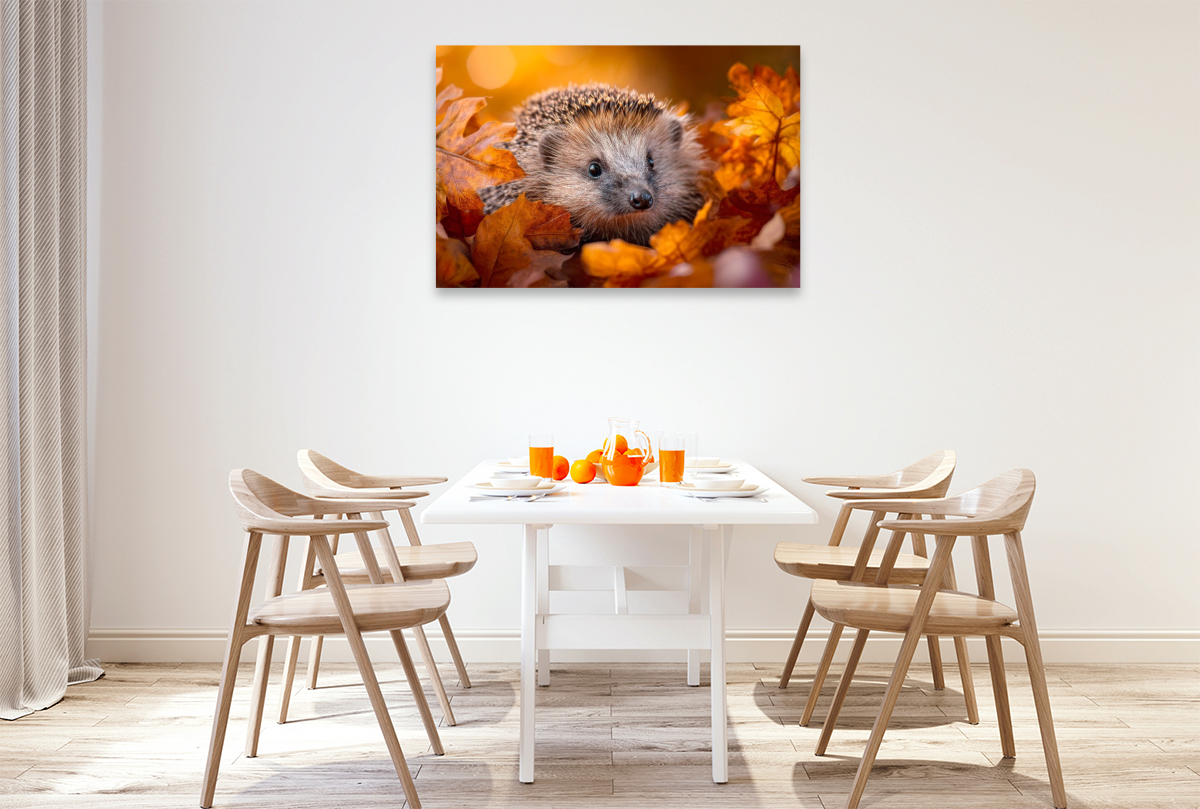 Igel - Goldene Herbstmomente