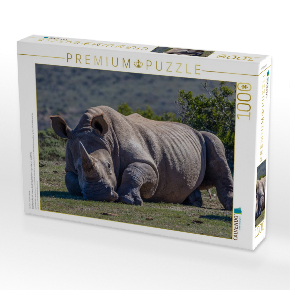 blickkontakt mit einem breitmaulnashorn irgendwo in südafrika