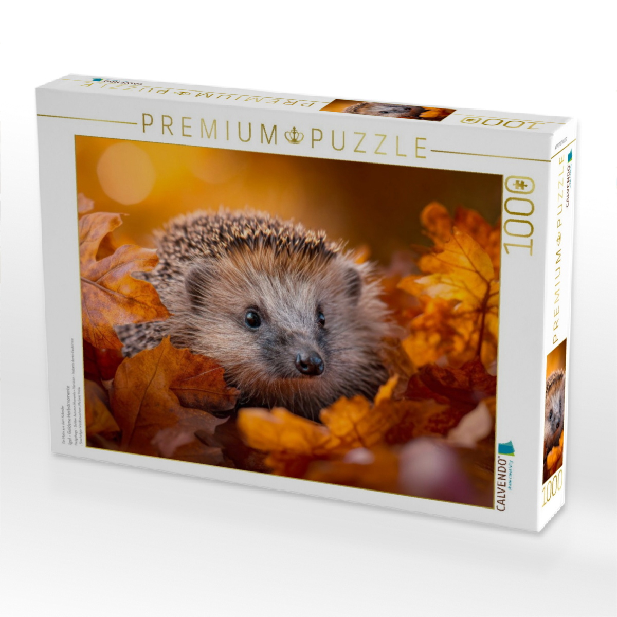Igel - Goldene Herbstmomente