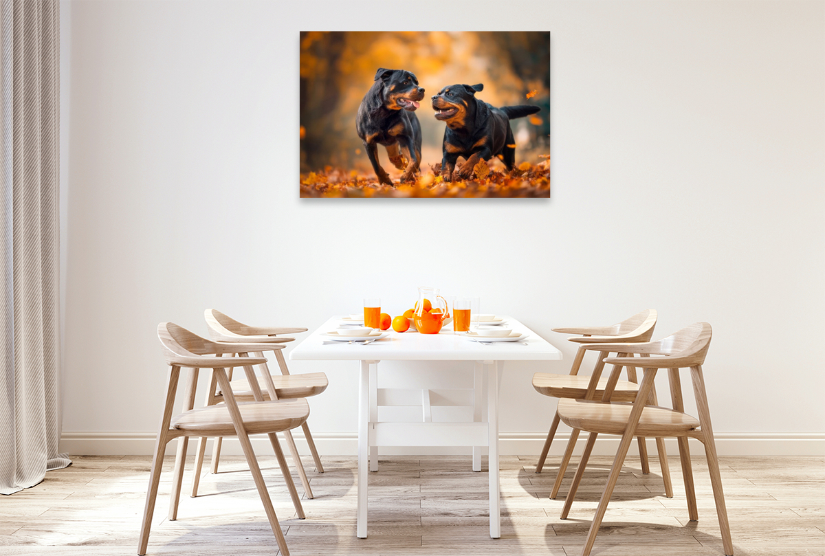 Rottweiler - Herbstfreude auf vier Pfoten