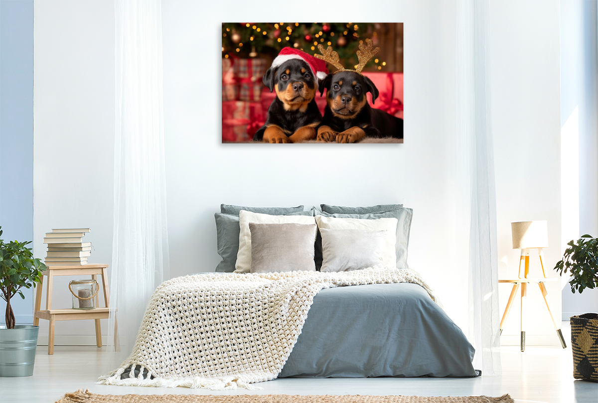 Rottweiler - Tierisch schöne Weihnachten