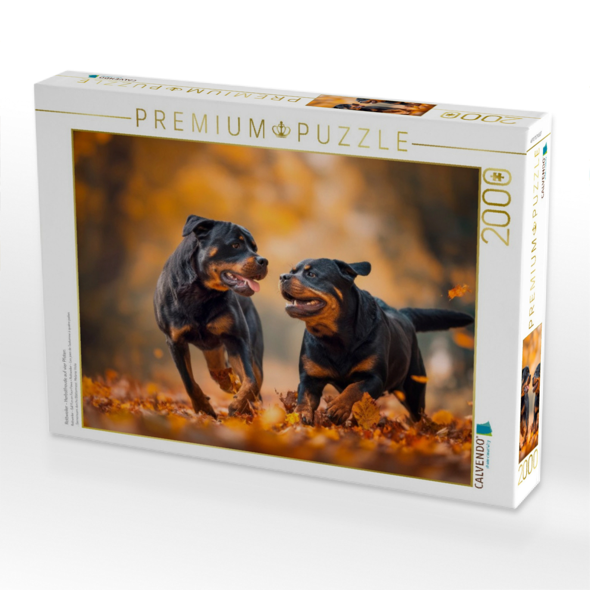 Rottweiler - Herbstfreude auf vier Pfoten