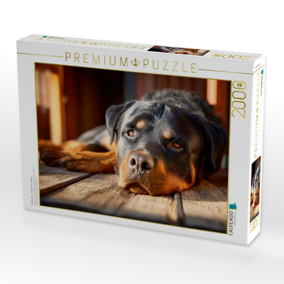 Rottweiler - Entspannte Stärke