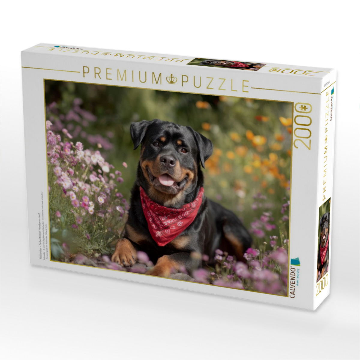 Rottweiler - Farbenfroher Hundemoment