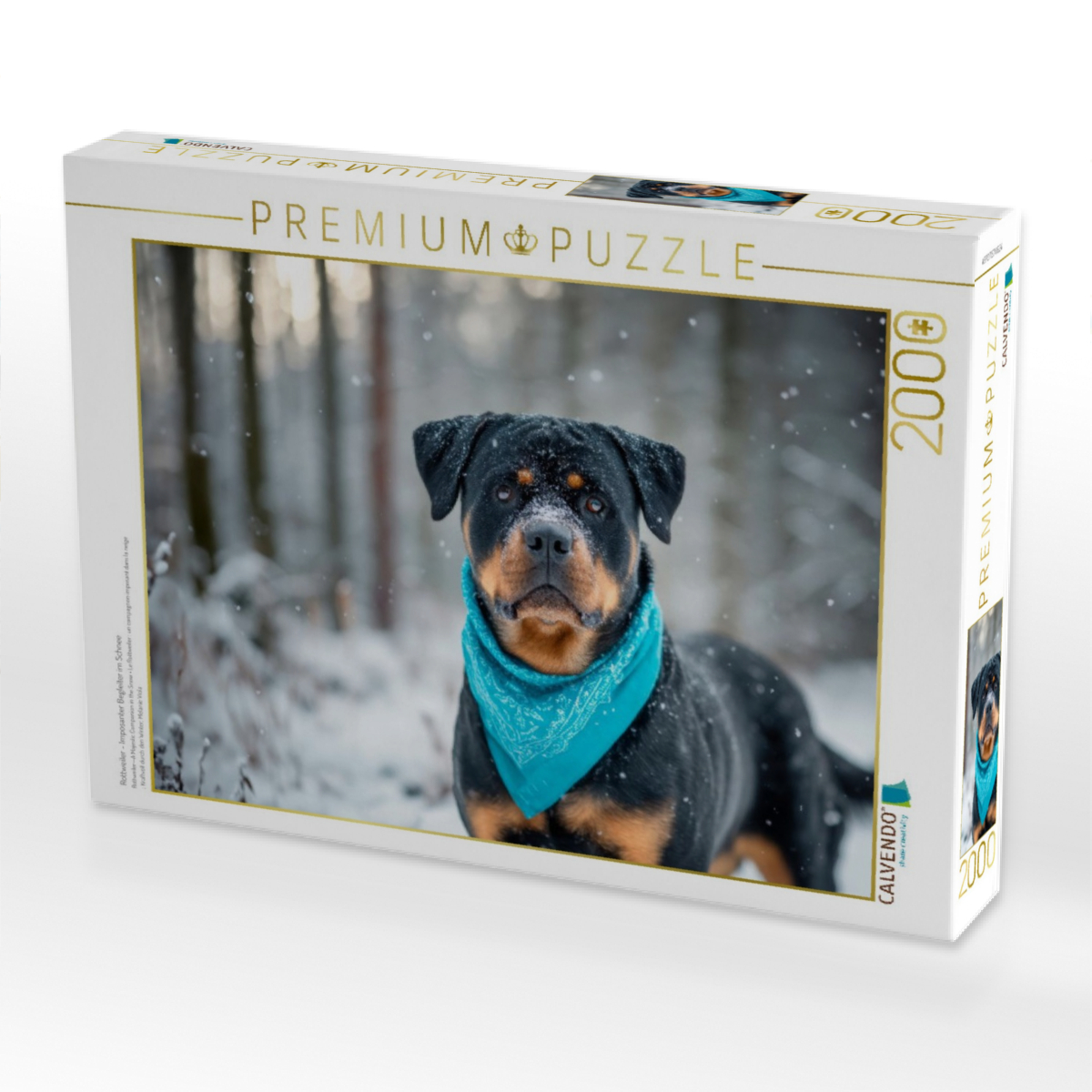 Rottweiler - Imposanter Begleiter im Schnee