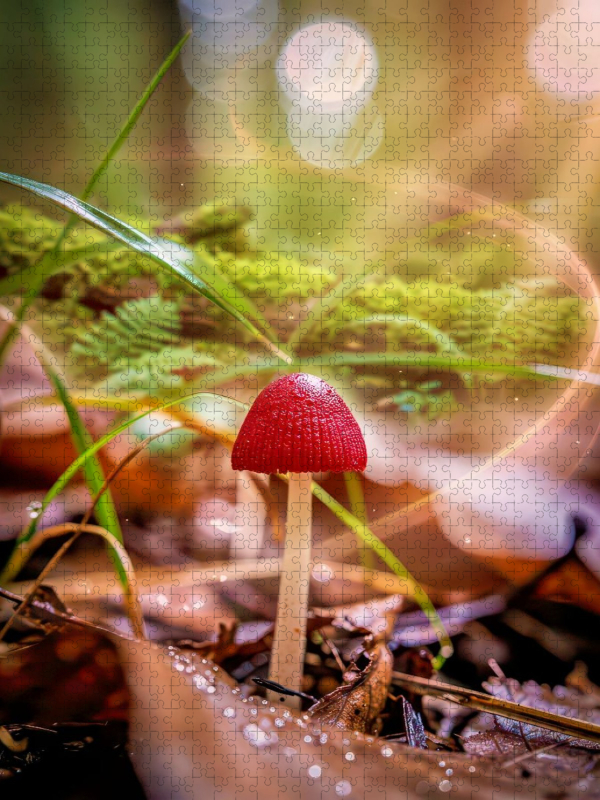 Erdige Eleganz, Natur in ihrer feinsten Form.
