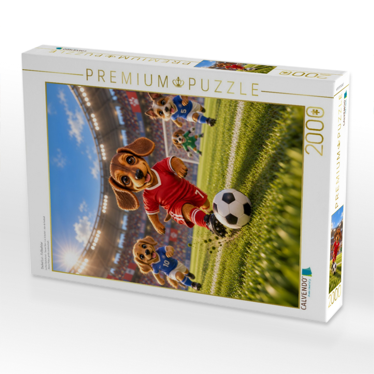 Dackel Lui – Fußballstar