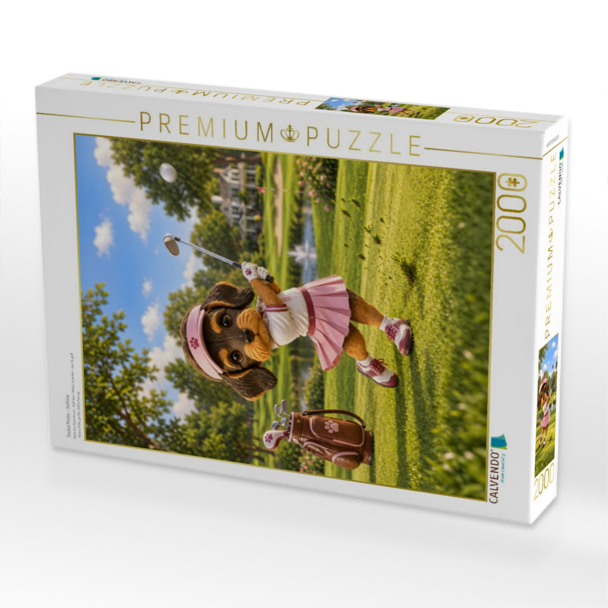 Dackel Motte – Golfstar