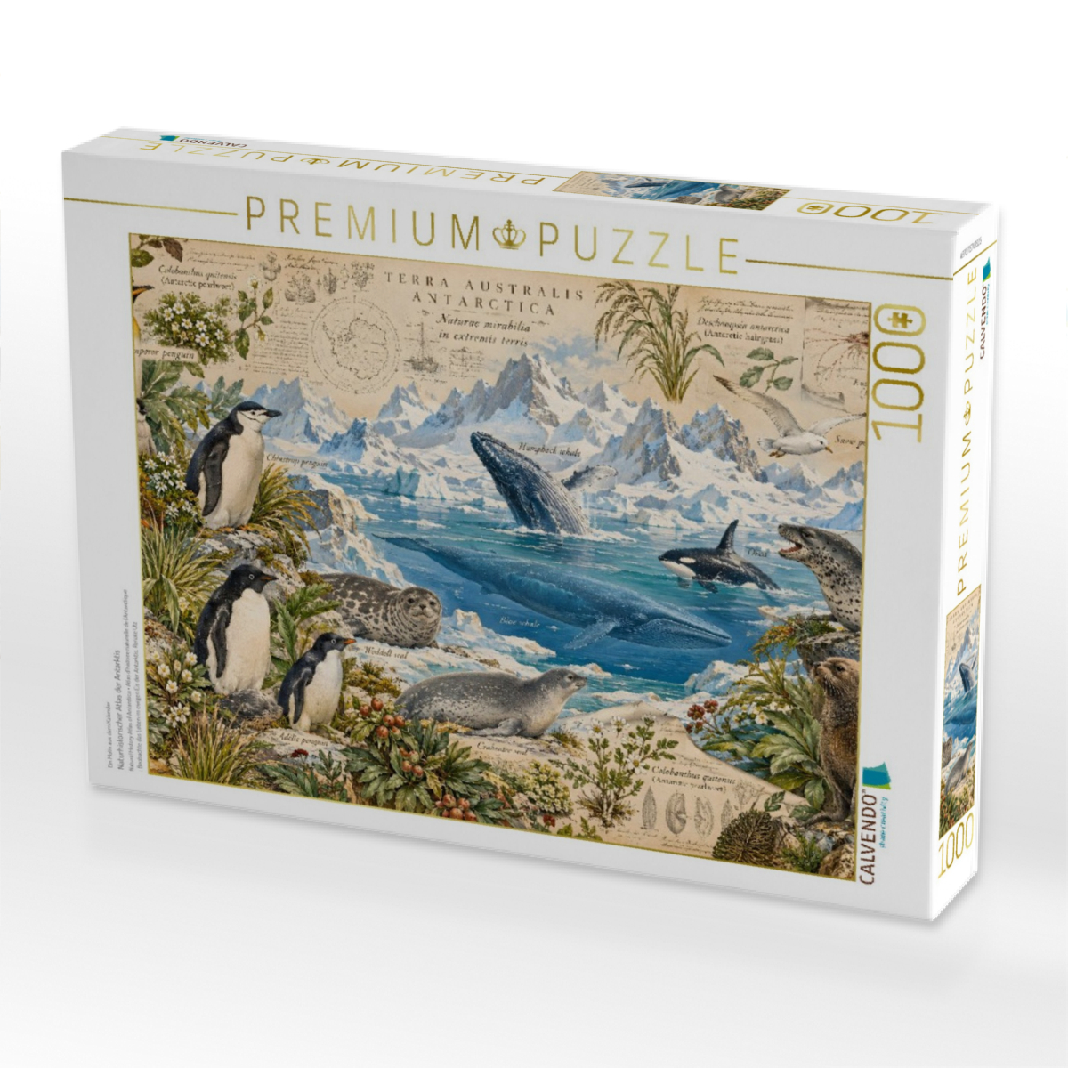 Naturhistorischer Atlas der Antarktis